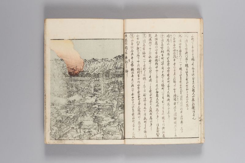 安政見聞誌 上 - ページ 21