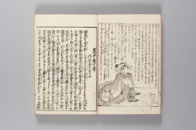 安政見聞誌 中 - ページ 8