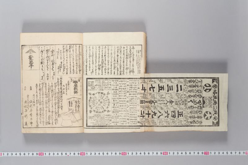 安政見聞誌 中 - ページ 11