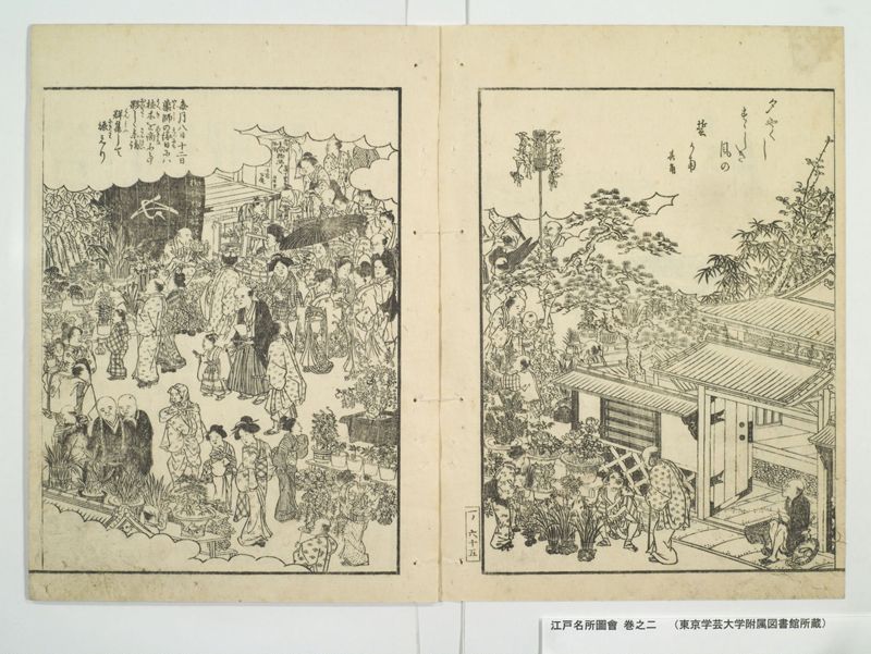 江戸名所図会 20巻 巻之2 - ページ 24