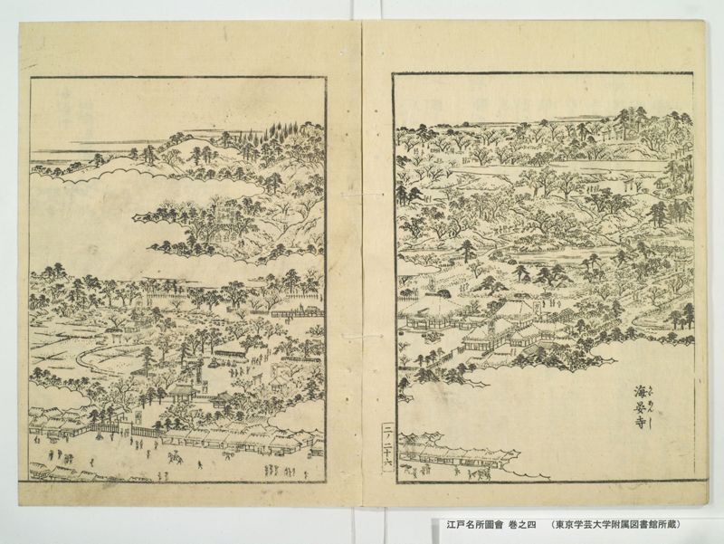 江戸名所図会 20巻 巻之4 - ページ 31