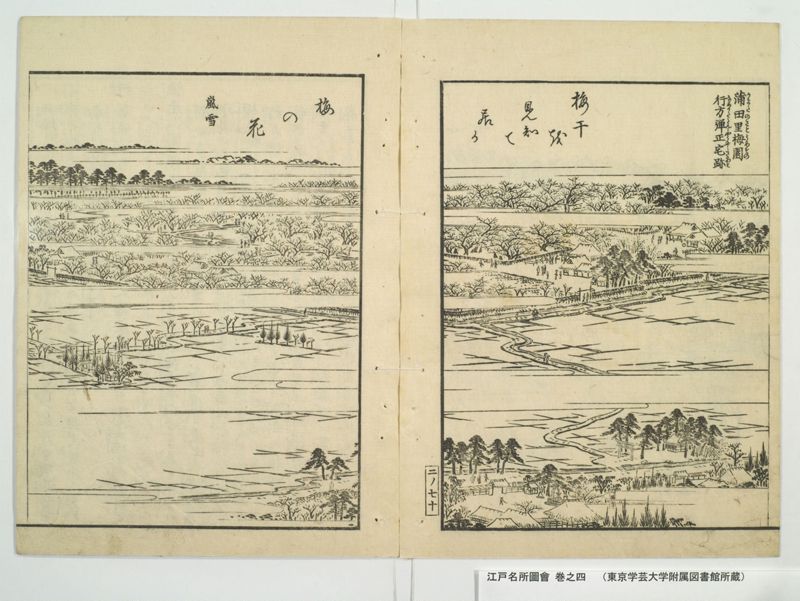 江戸名所図会 20巻 巻之4 - ページ 75