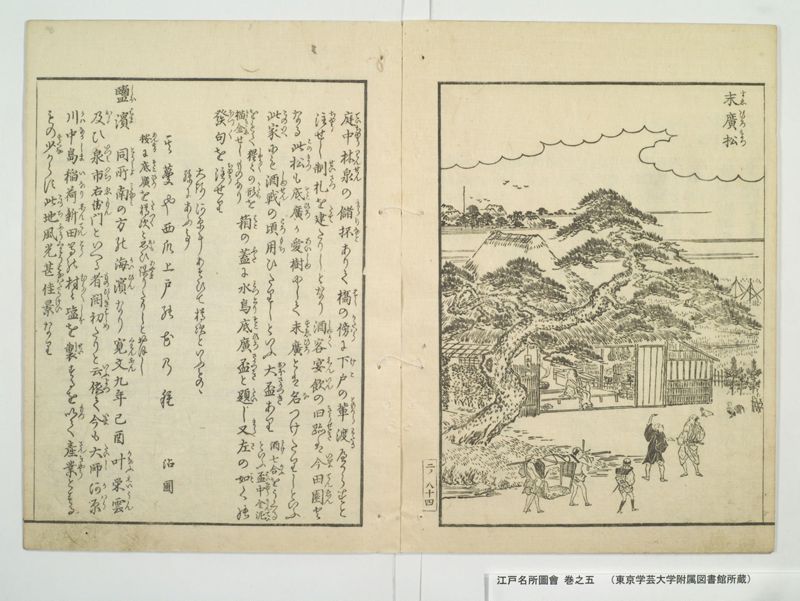 江戸名所図会 20巻 巻之5 - ページ 9