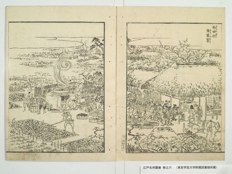 江戸名所図会 20巻 巻之6 - ページ 21
