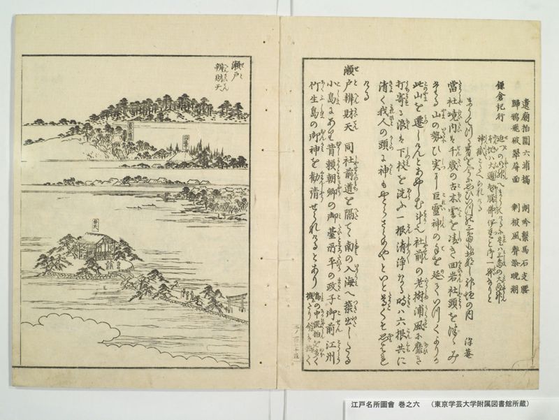 江戸名所図会 20巻 巻之6 - ページ 49