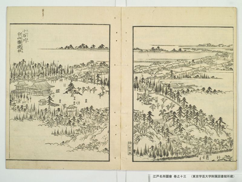 江戸名所図会 20巻 巻之13 - ページ 11