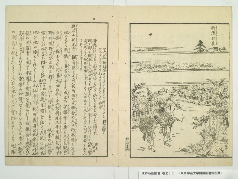 江戸名所図会 20巻 巻之13 - ページ 70