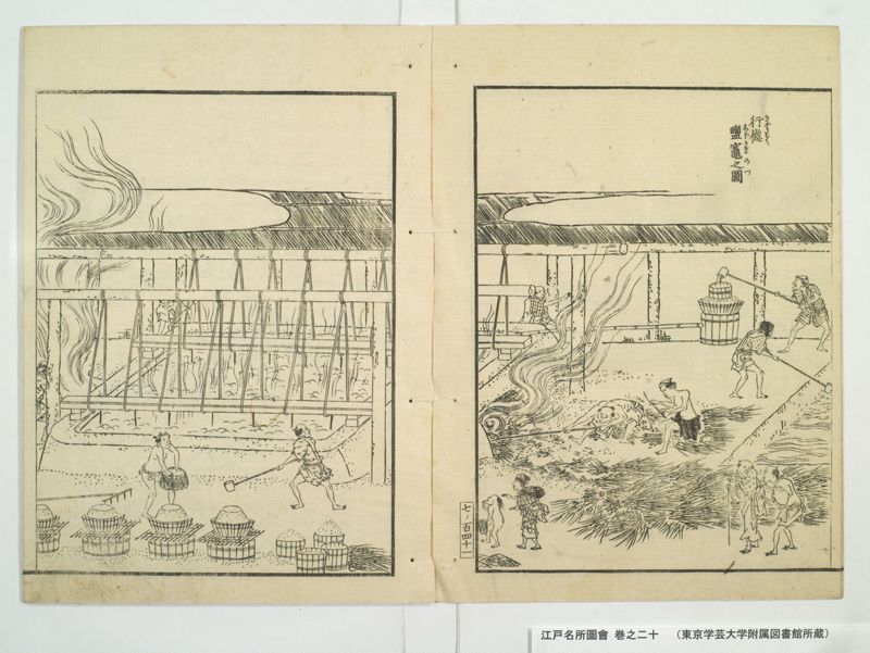 江戸名所図会 20巻 巻之20 - ページ 13