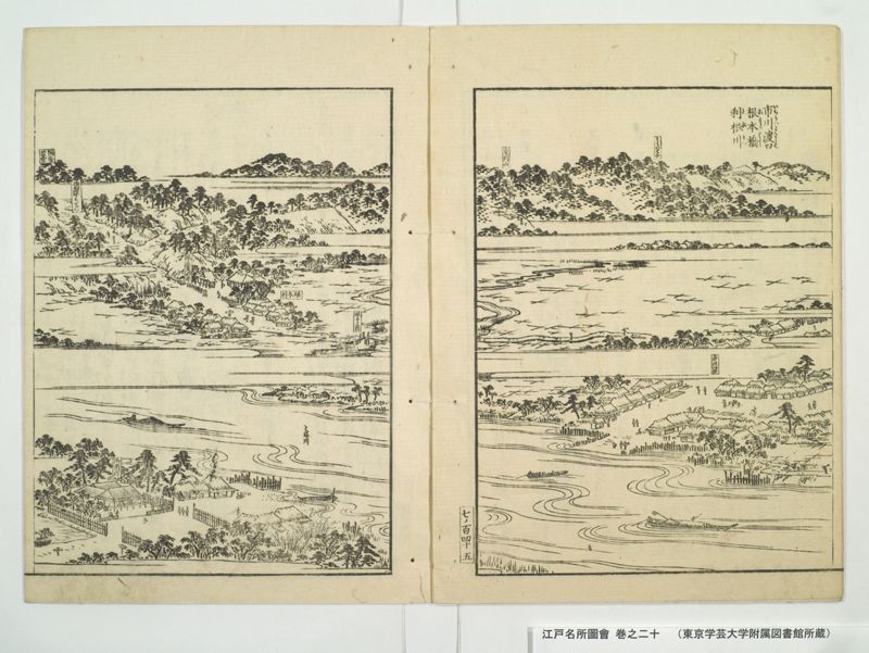 江戸名所図会 20巻 巻之20 - ページ 17