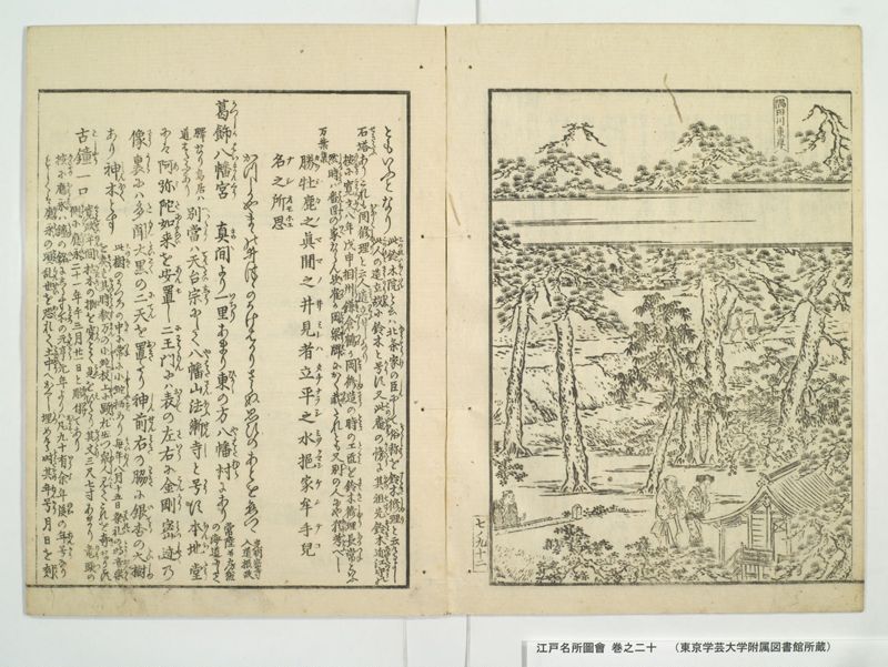 江戸名所図会 20巻 巻之20 - ページ 31