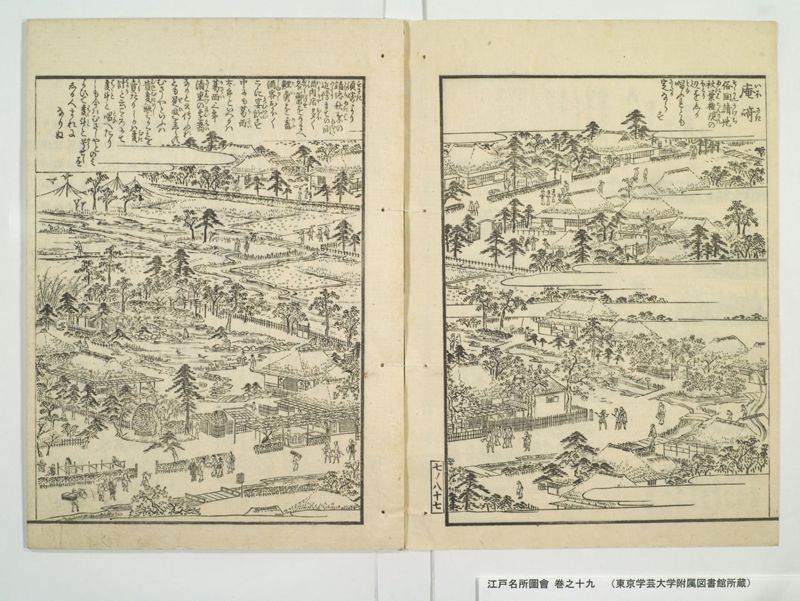 江戸名所図会 20巻 巻之19 - ページ 10