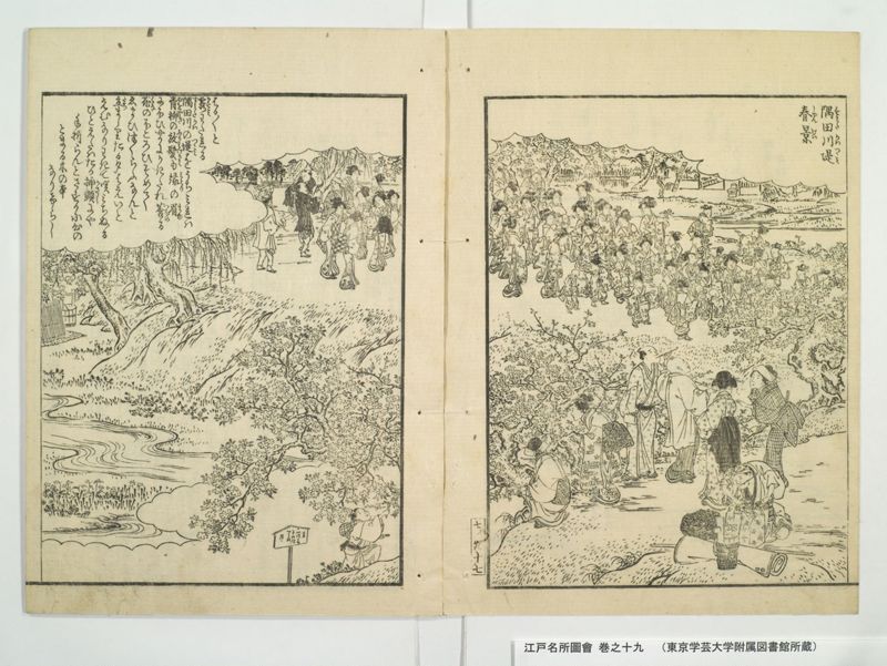 江戸名所図会 20巻 巻之19 - ページ 20