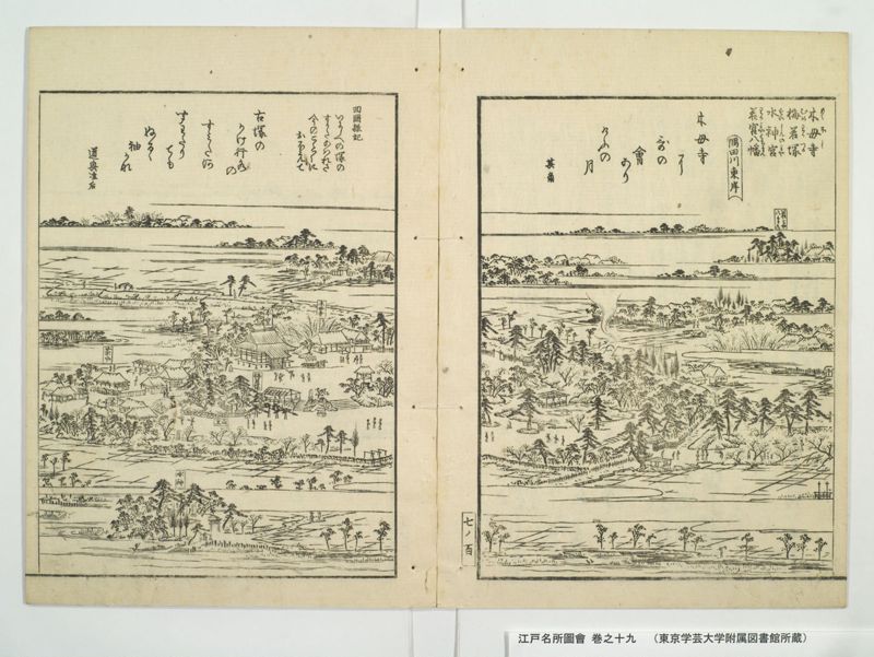江戸名所図会 20巻 巻之19 - ページ 23