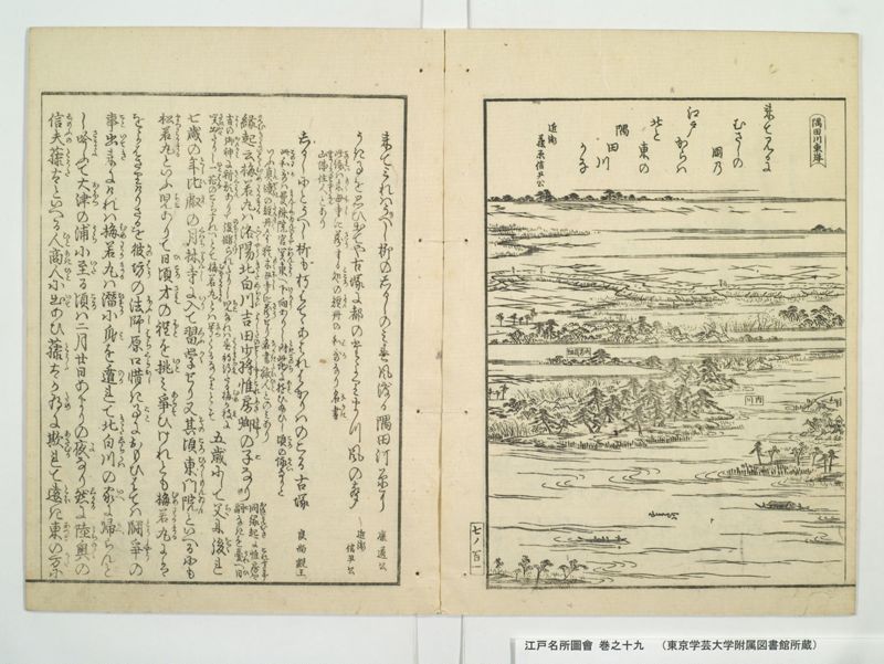 江戸名所図会 20巻 巻之19 - ページ 24