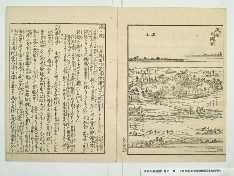 江戸名所図会 20巻 巻之19 - ページ 30