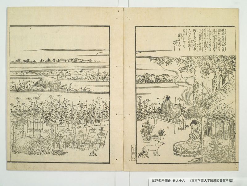 江戸名所図会 20巻 巻之19 - ページ 31