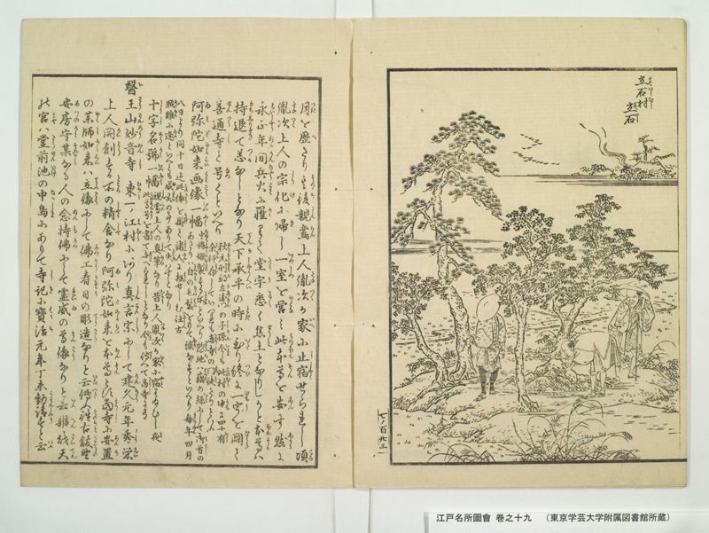 江戸名所図会 20巻 巻之19 - ページ 46