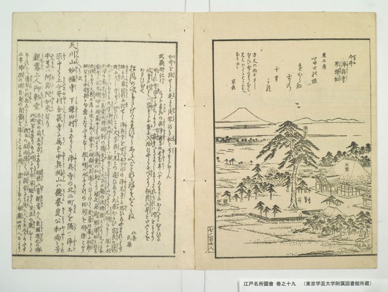 江戸名所図会 20巻 巻之19 - ページ 51