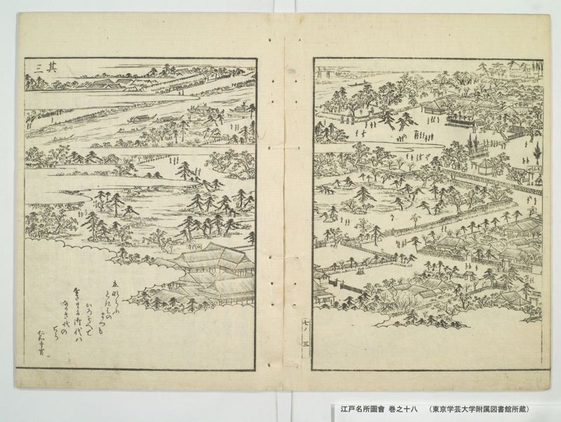 江戸名所図会 20巻 巻之18 - ページ 7