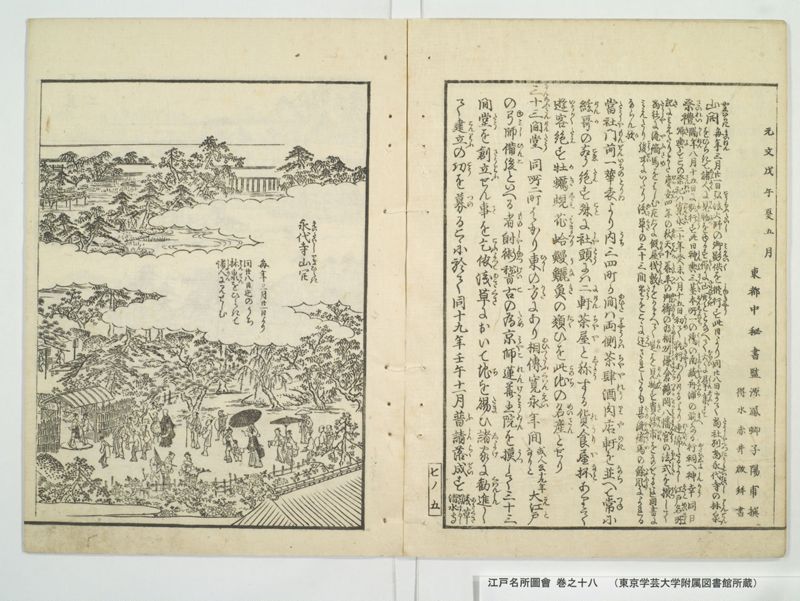 江戸名所図会 20巻 巻之18 - ページ 9