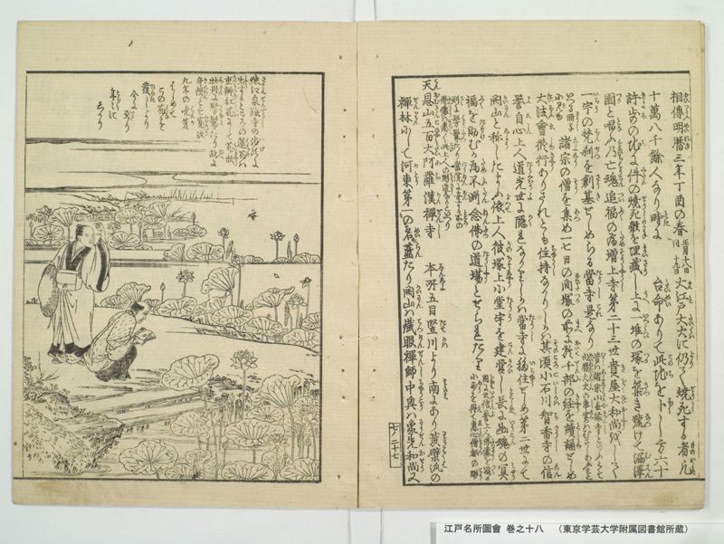 江戸名所図会 20巻 巻之18 - ページ 31