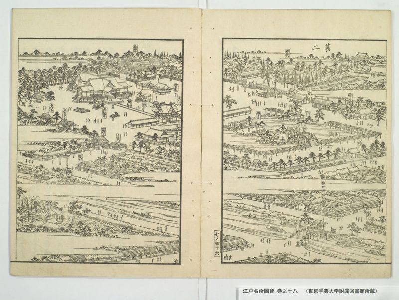 江戸名所図会 20巻 巻之18 - ページ 50