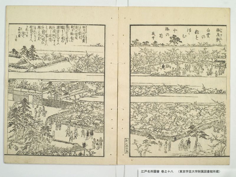江戸名所図会 20巻 巻之18 - ページ 59