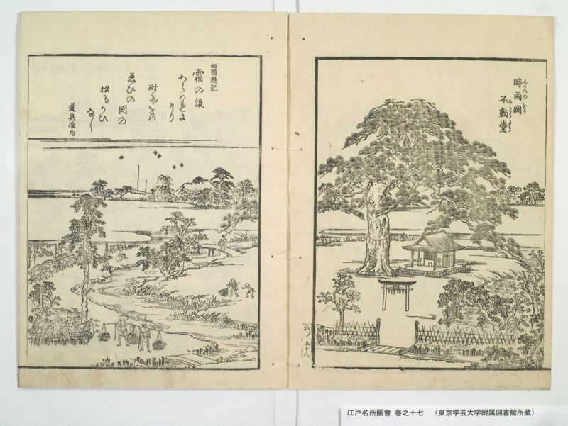 江戸名所図会 20巻 巻之17 - ページ 12