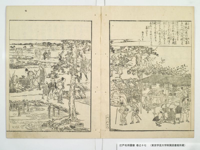 江戸名所図会 20巻 巻之17 - ページ 22