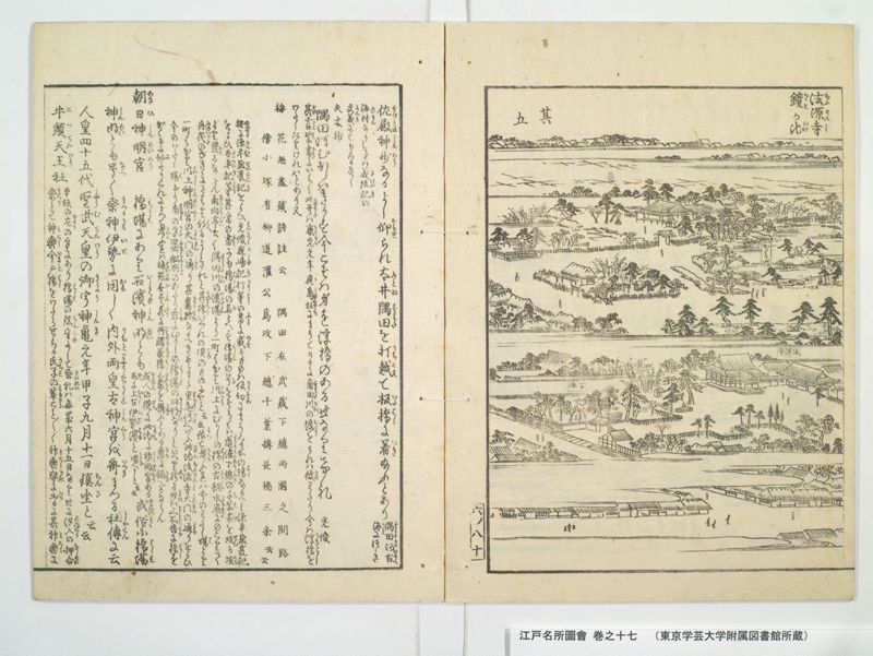 江戸名所図会 20巻 巻之17 - ページ 34