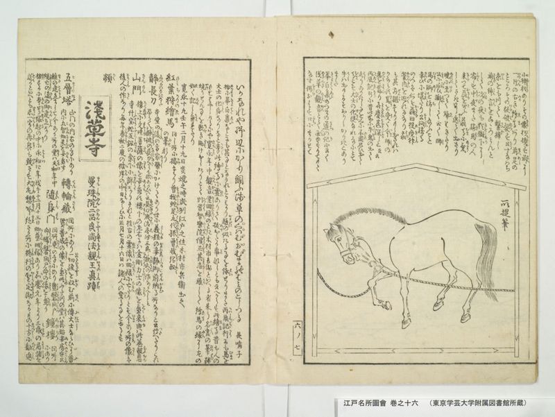 江戸名所図会 20巻 巻之16 - ページ 10