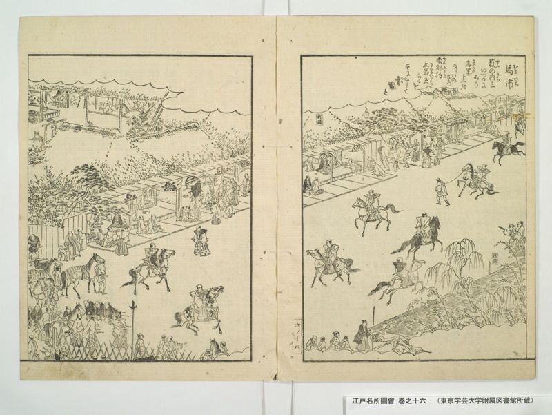 江戸名所図会 20巻 巻之16 - ページ 19