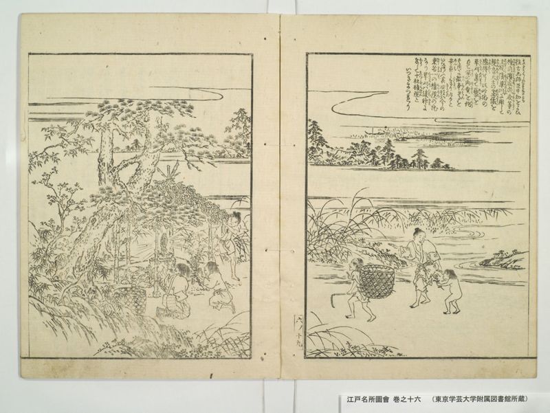 江戸名所図会 20巻 巻之16 - ページ 22