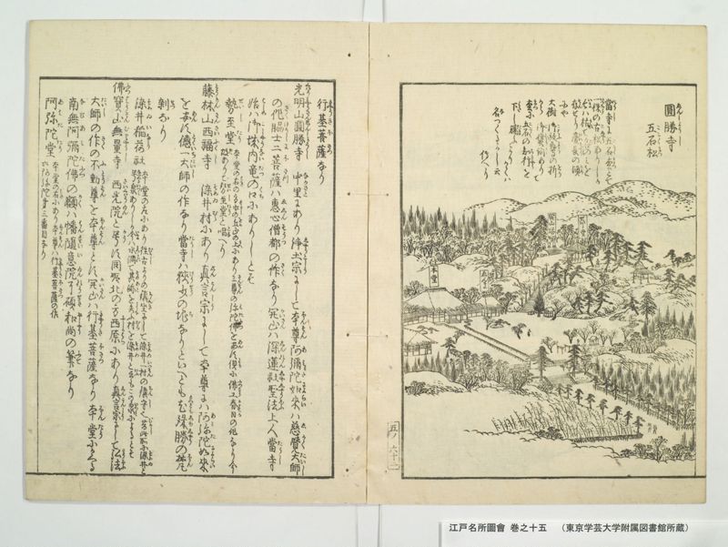 江戸名所図会 20巻 巻之15 - ページ 14