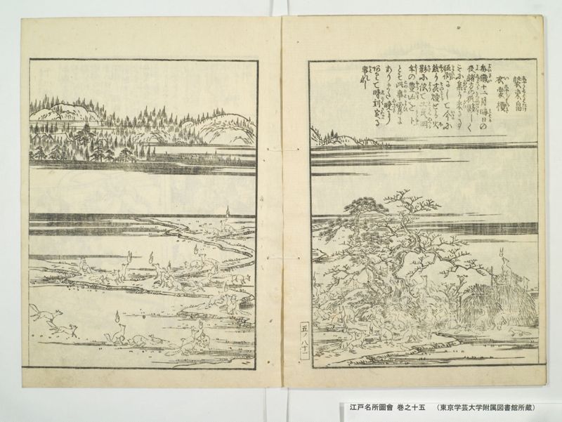 江戸名所図会 20巻 巻之15 - ページ 33