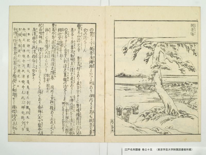 江戸名所図会 20巻 巻之15 - ページ 47