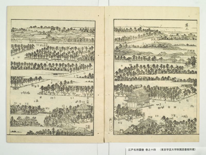 江戸名所図会 20巻 巻之14 - ページ 29