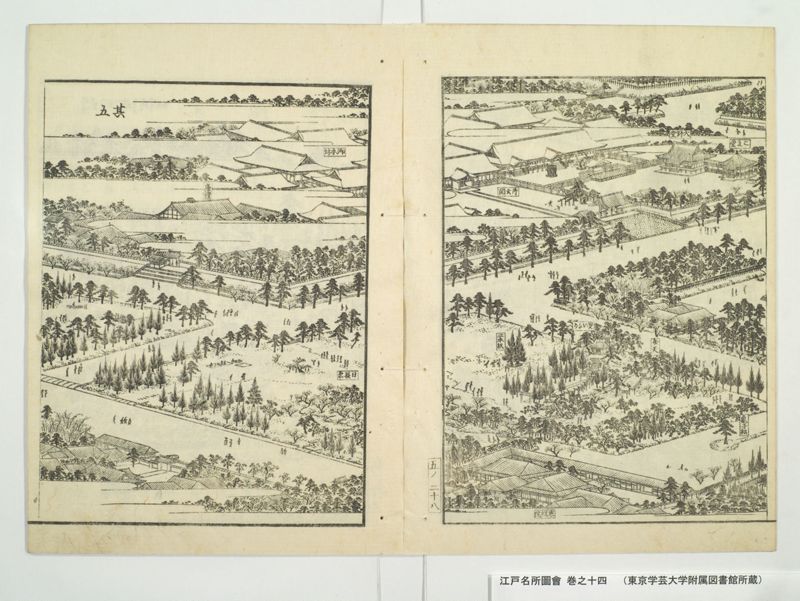 江戸名所図会 20巻 巻之14 - ページ 31
