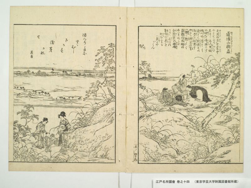 江戸名所図会 20巻 巻之14 - ページ 52