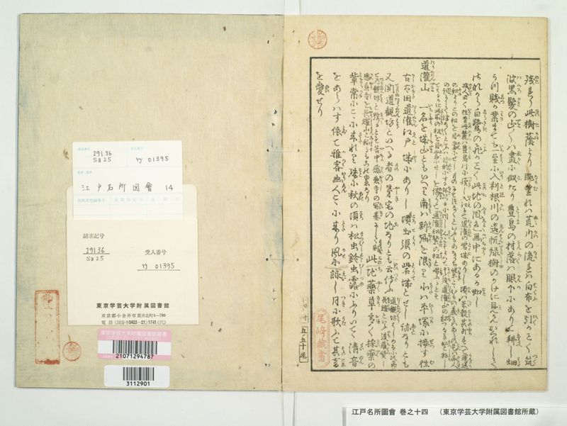 江戸名所図会 20巻 巻之14 - ページ 53