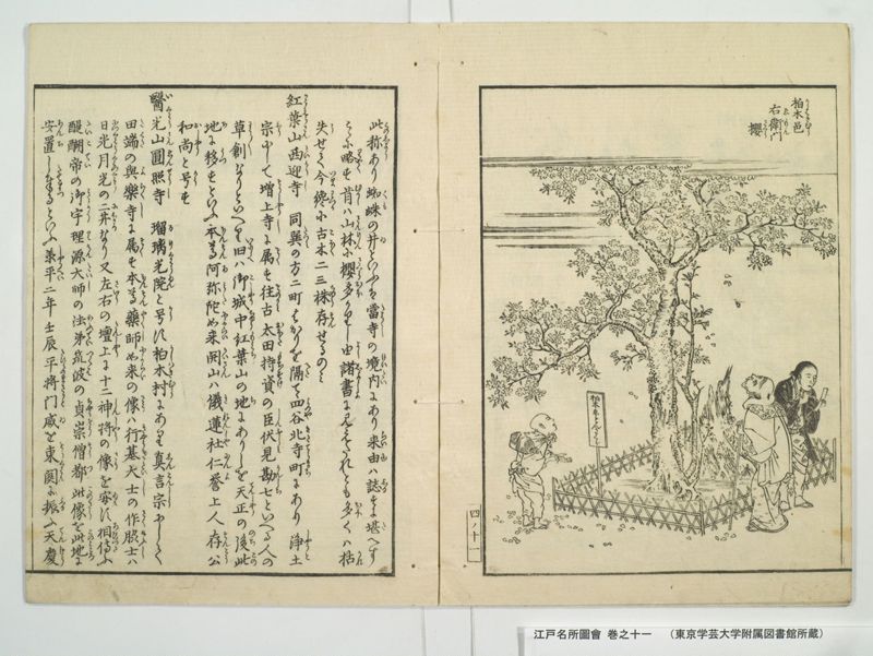 江戸名所図会 20巻 巻之11 - ページ 16