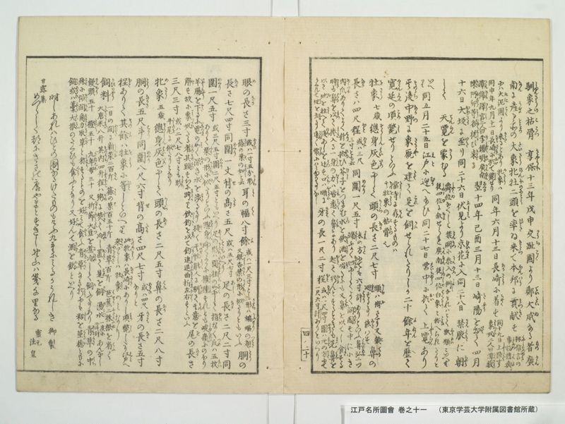 江戸名所図会 20巻 巻之11 - ページ 25