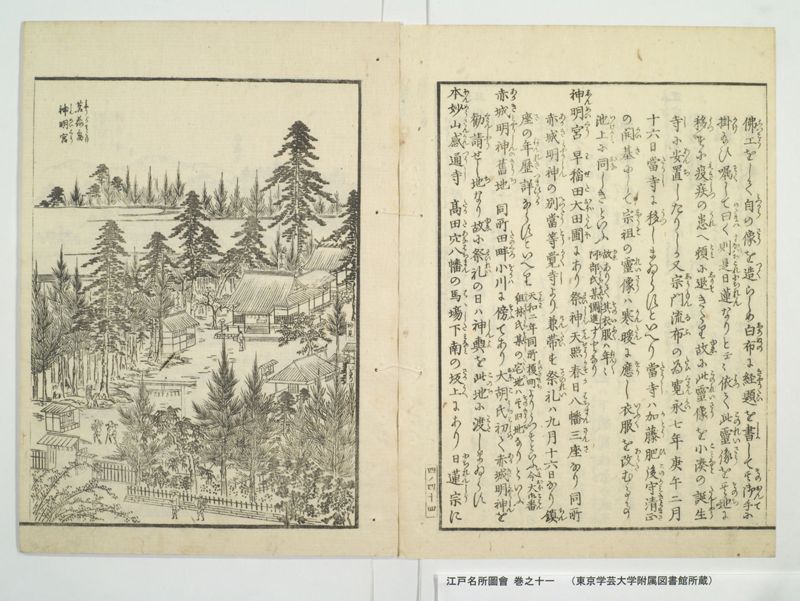 江戸名所図会 20巻 巻之11 - ページ 50
