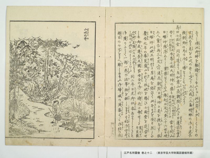 江戸名所図会 20巻 巻之12 - ページ 7