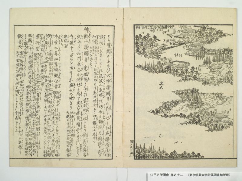 江戸名所図会 20巻 巻之12 - ページ 44