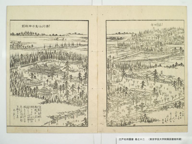 江戸名所図会 20巻 巻之12 - ページ 50