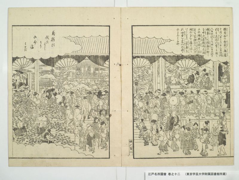 江戸名所図会 20巻 巻之12 - ページ 51