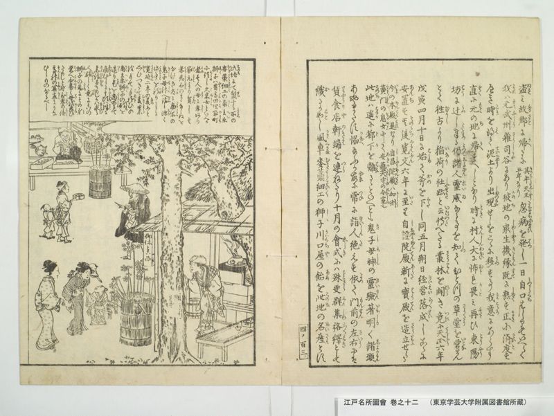 江戸名所図会 20巻 巻之12 - ページ 52