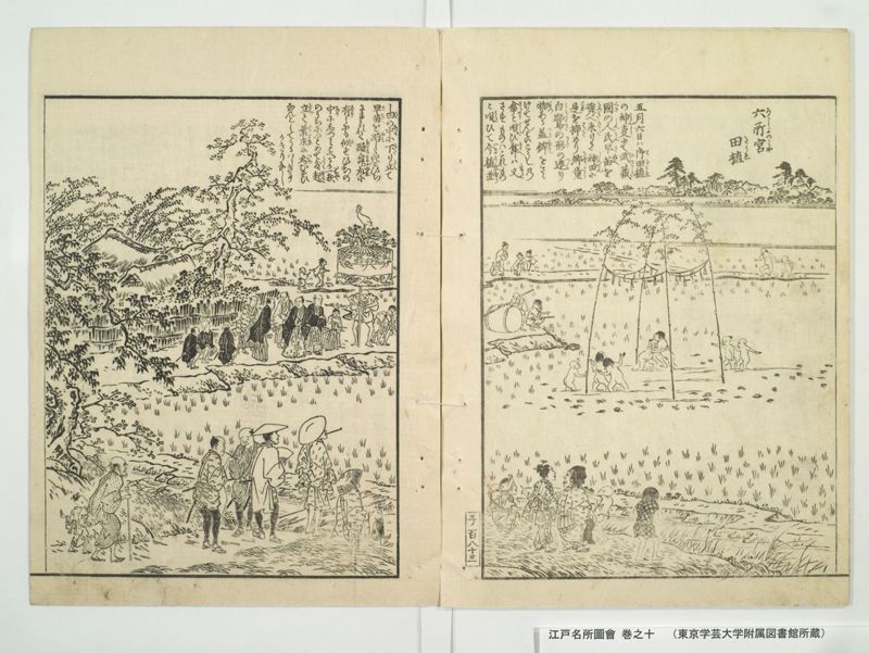 江戸名所図会 20巻 巻之10 - ページ 9