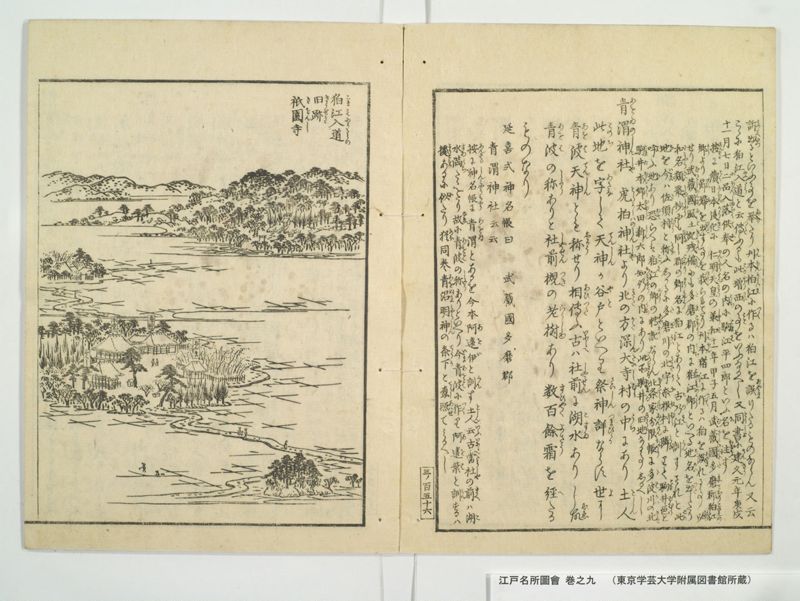江戸名所図会 20巻 巻之9 - ページ 25